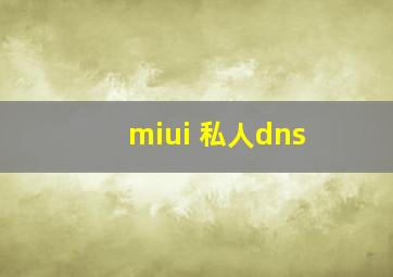 miui 私人dns